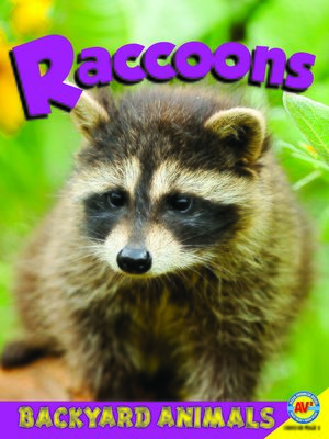 cover image of Raccoons